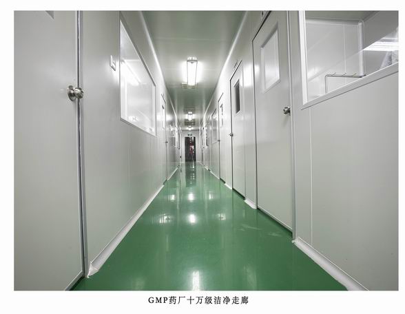 GMP药厂十万级洁净走廊